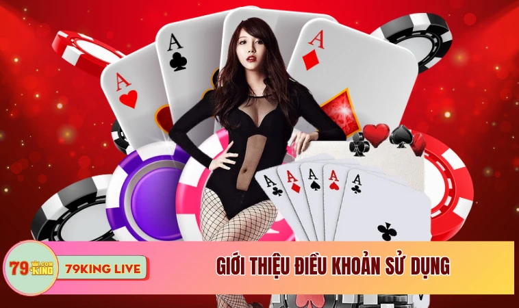Tìm Hiểu Về Nội Dung Điều Khoản Sử Dụng Chi Tiết 1 Giới thiệu điều khoản sử dụng
